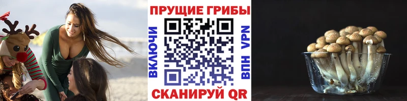 Галлюциногенные грибы GOLDEN TEACHER купить закладку Томск